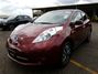 Manheim 1N4BZ0CP5HC306151