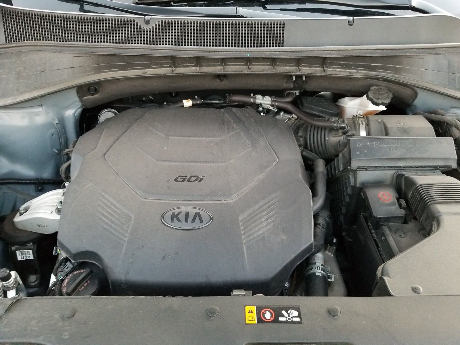 Vin kia sorento