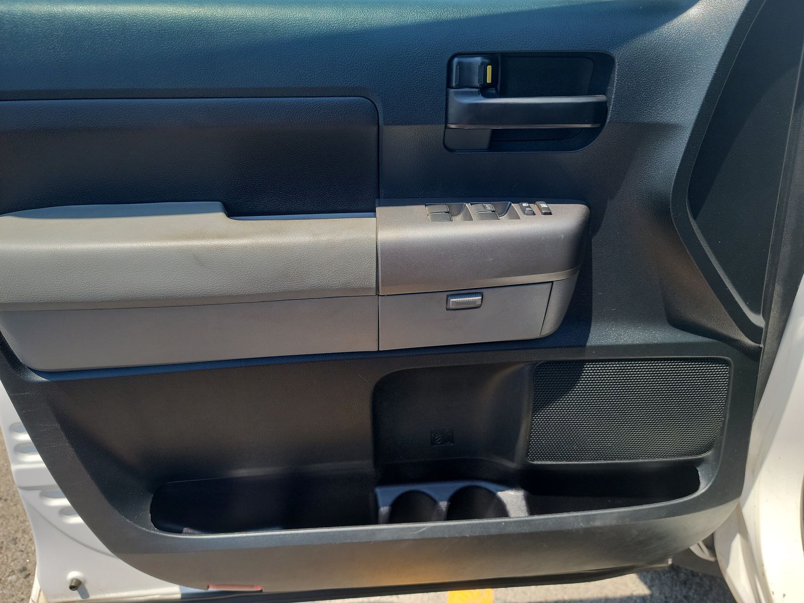 Driver Door Panel