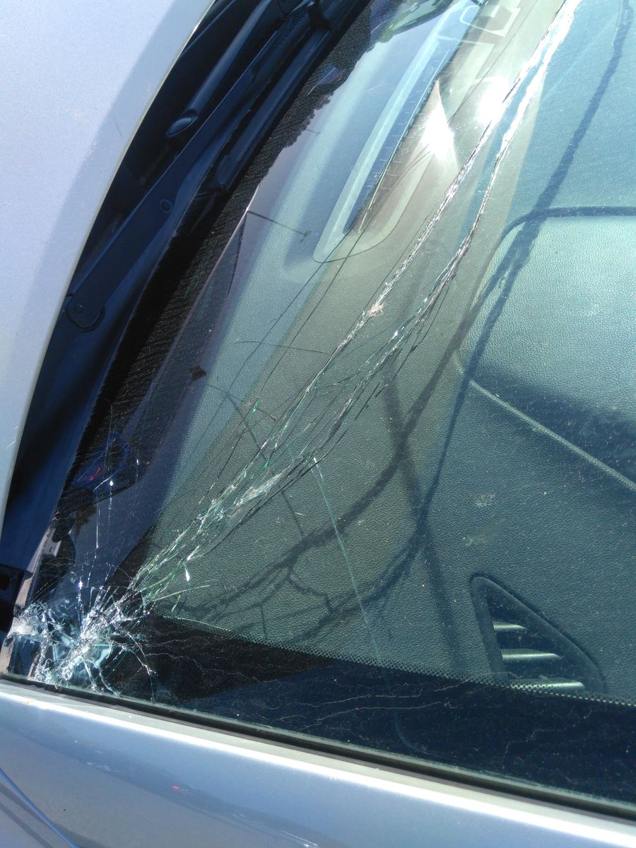 Windshield