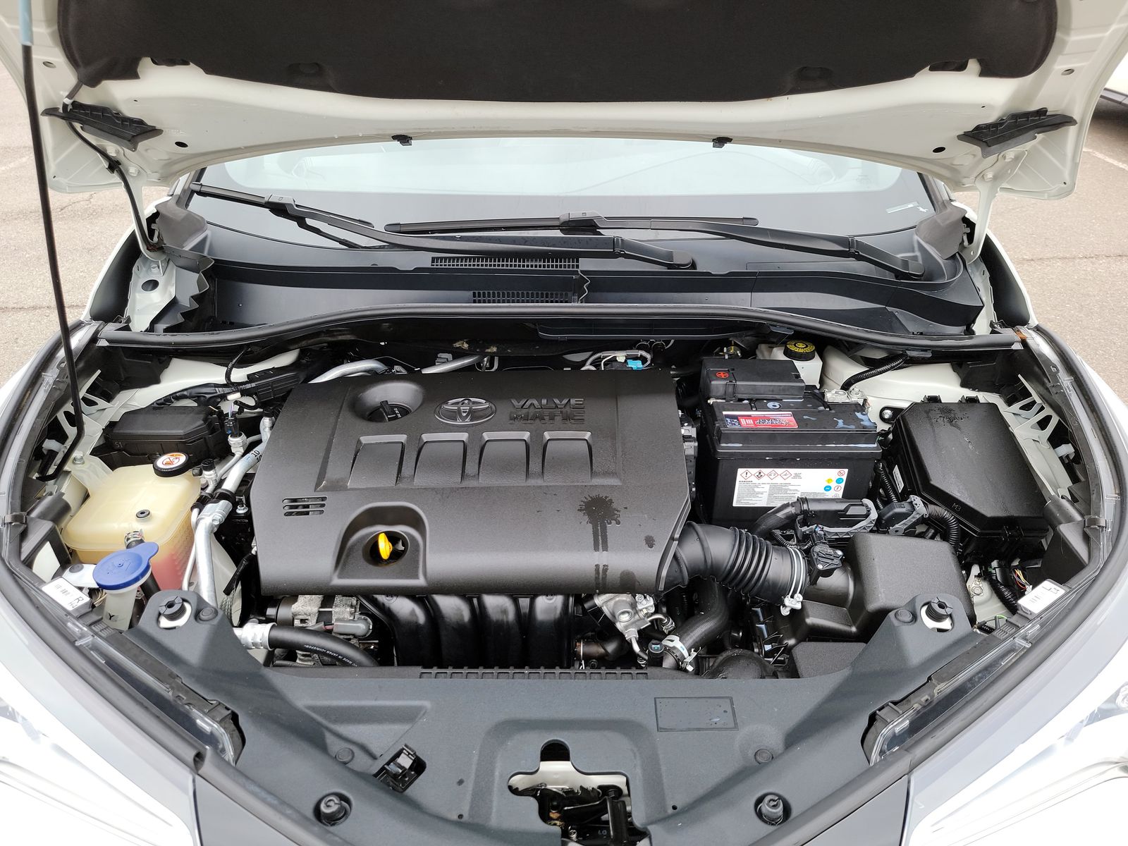 2019 Toyota C-HR XLE FWD