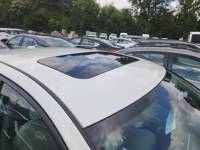 Nuotrauka 16