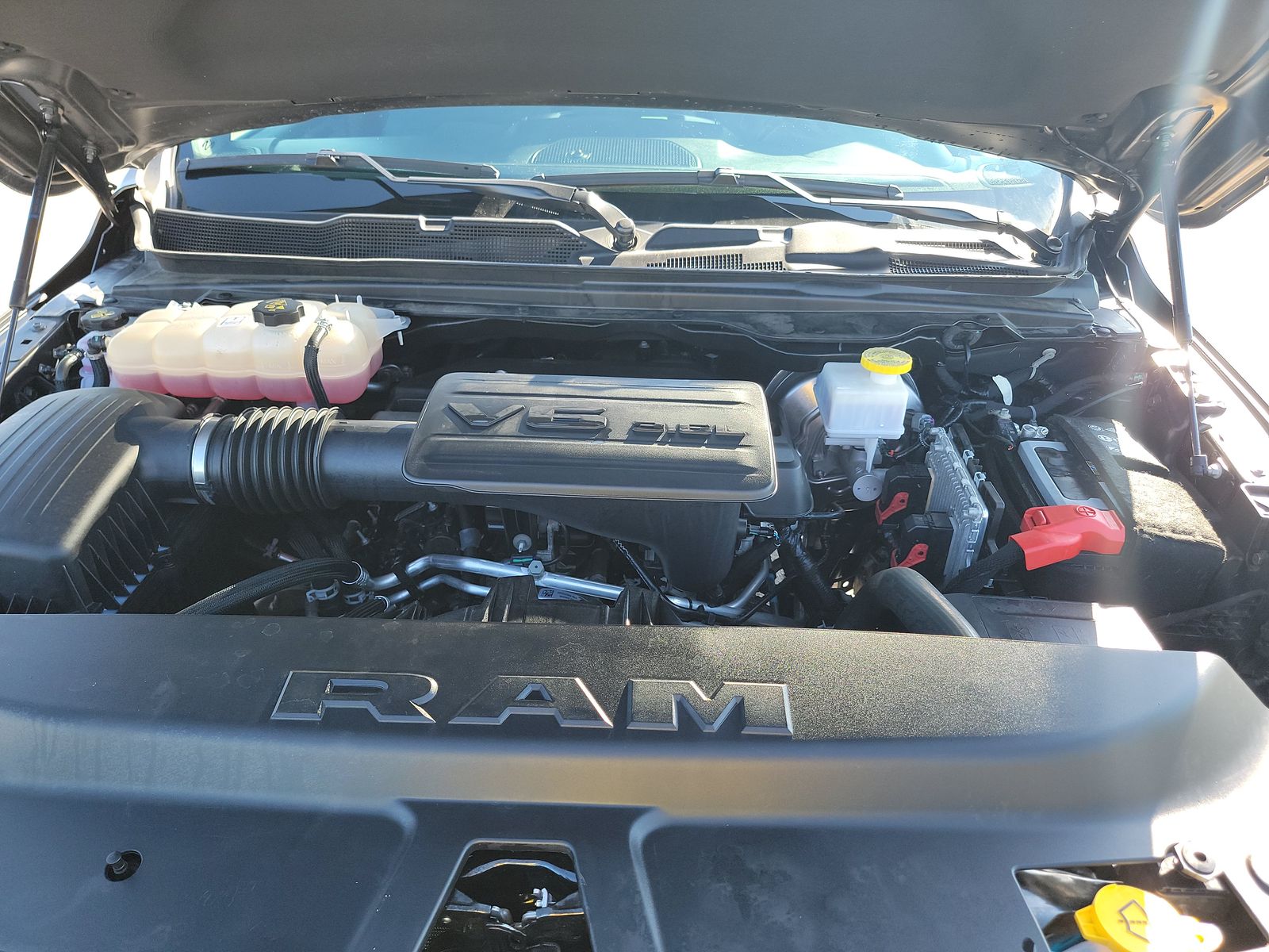 Fotka 17