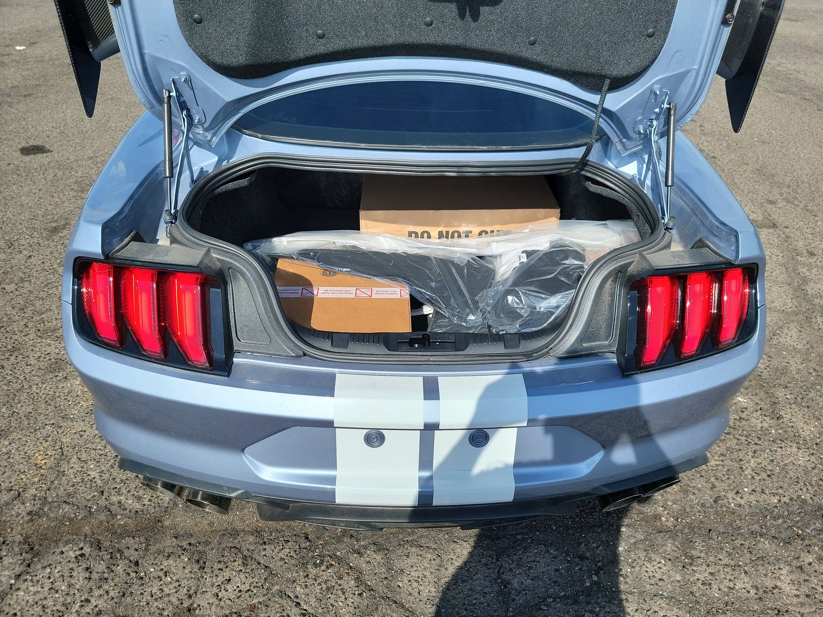 2022 Ford Mustang Shelby GT500 RWD