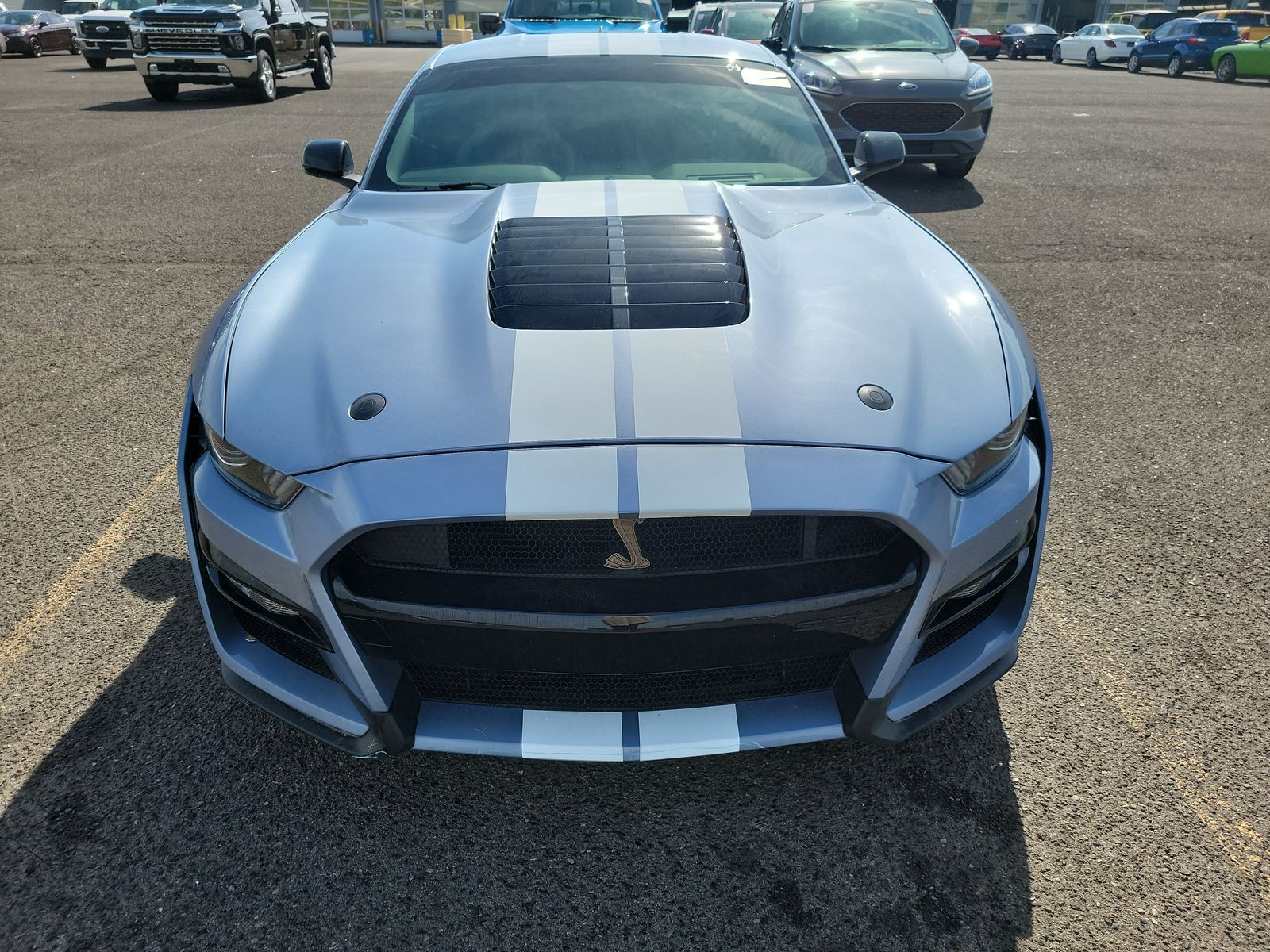 2022 Ford Mustang Shelby GT500 RWD