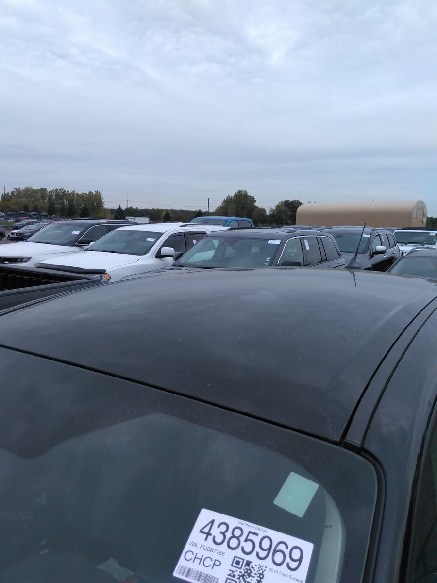 2019 Ford Escape SE AWD