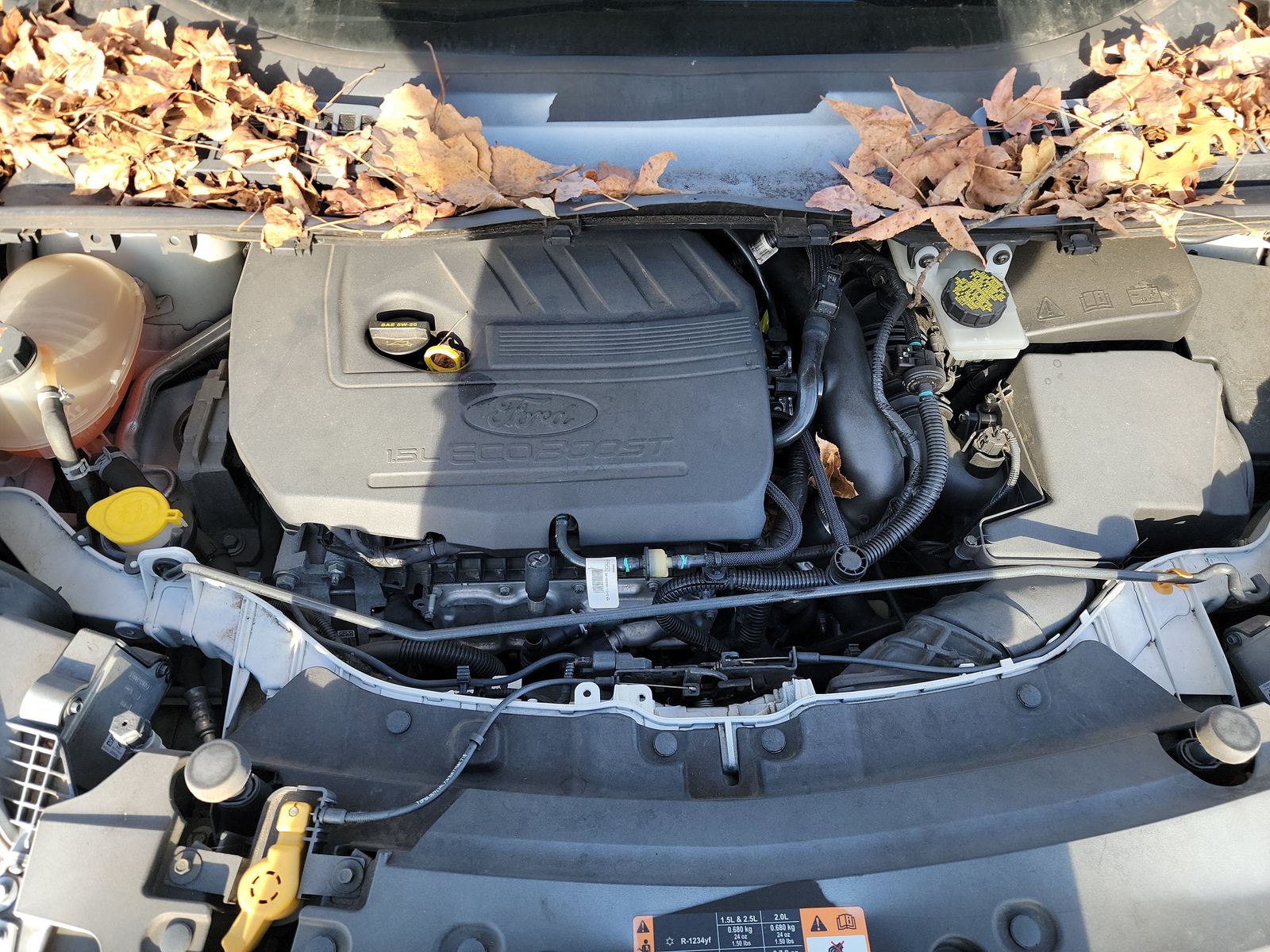 2017 Ford Escape SE FWD