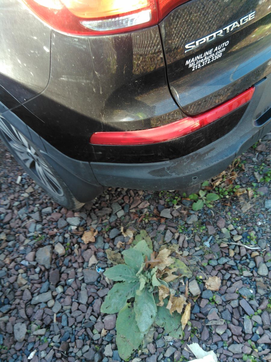 2014 Kia Sportage EX AWD