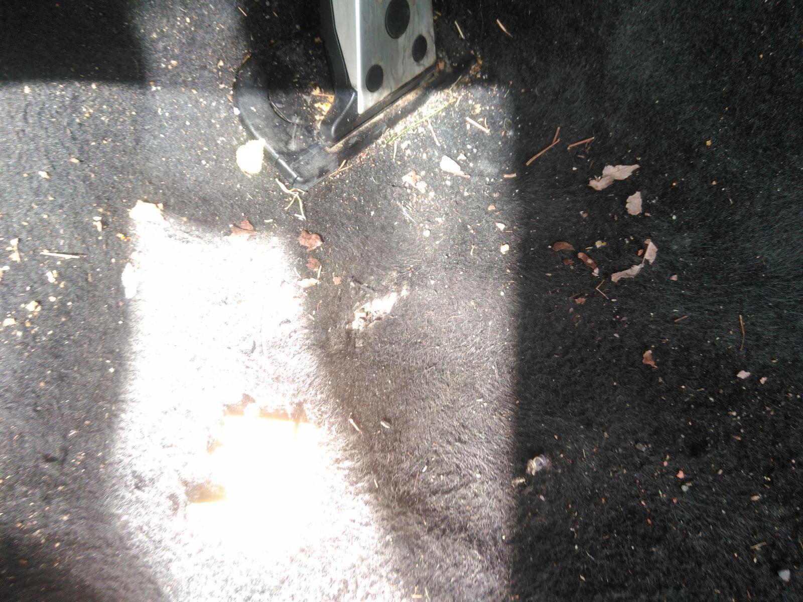 2021 Toyota Camry TRD V6 FWD