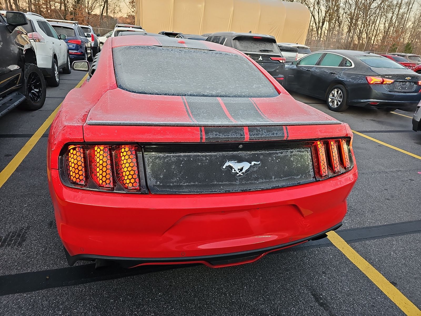 2016 Ford Mustang ECO PREM RWD