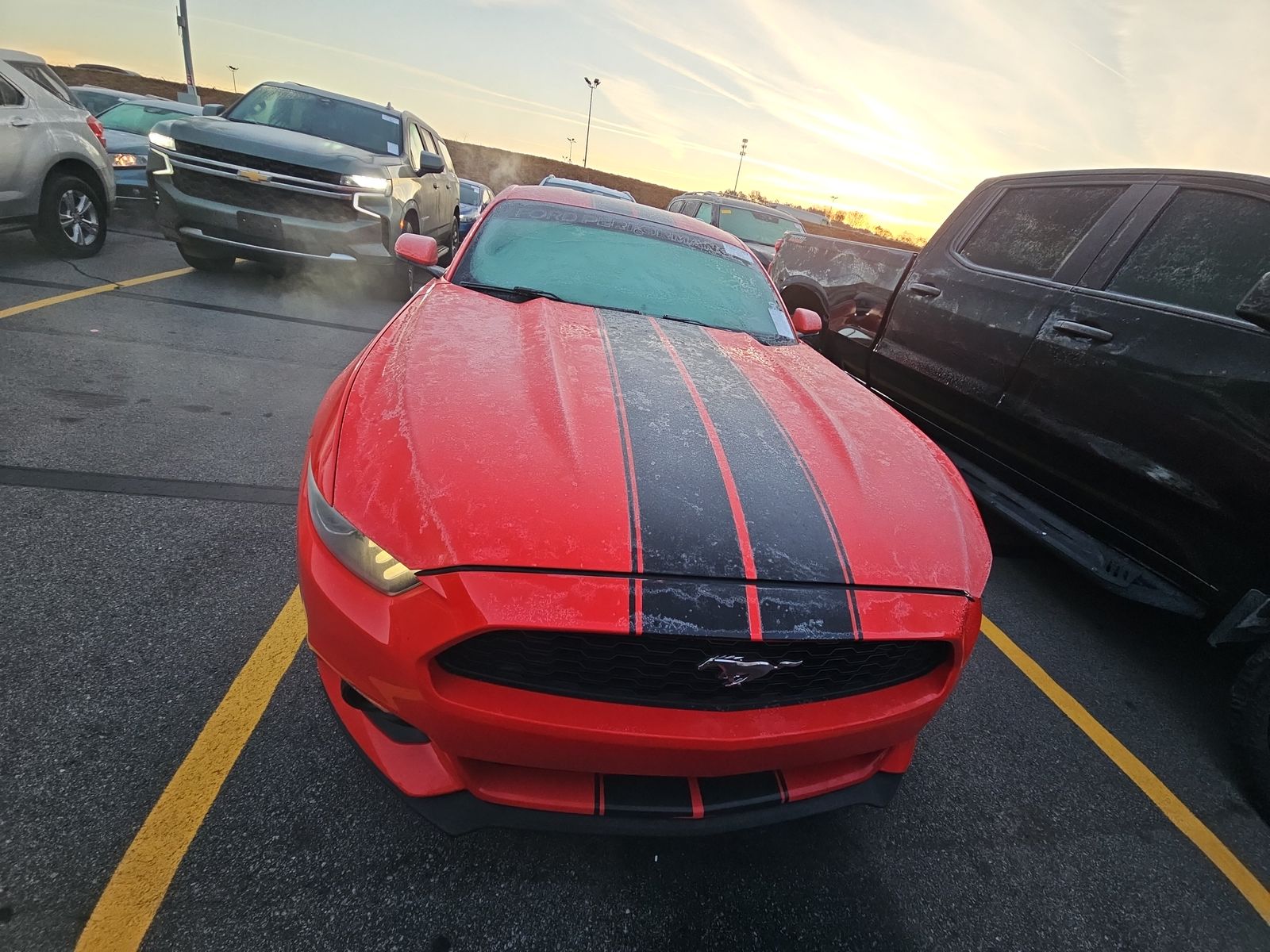 2016 Ford Mustang ECO PREM RWD