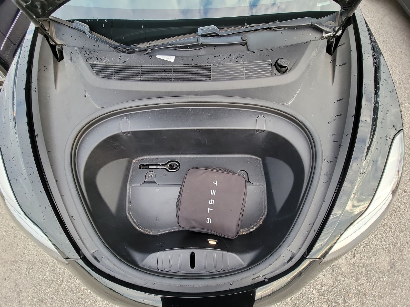 2019 Tesla Model 3 STD PLUS RWD