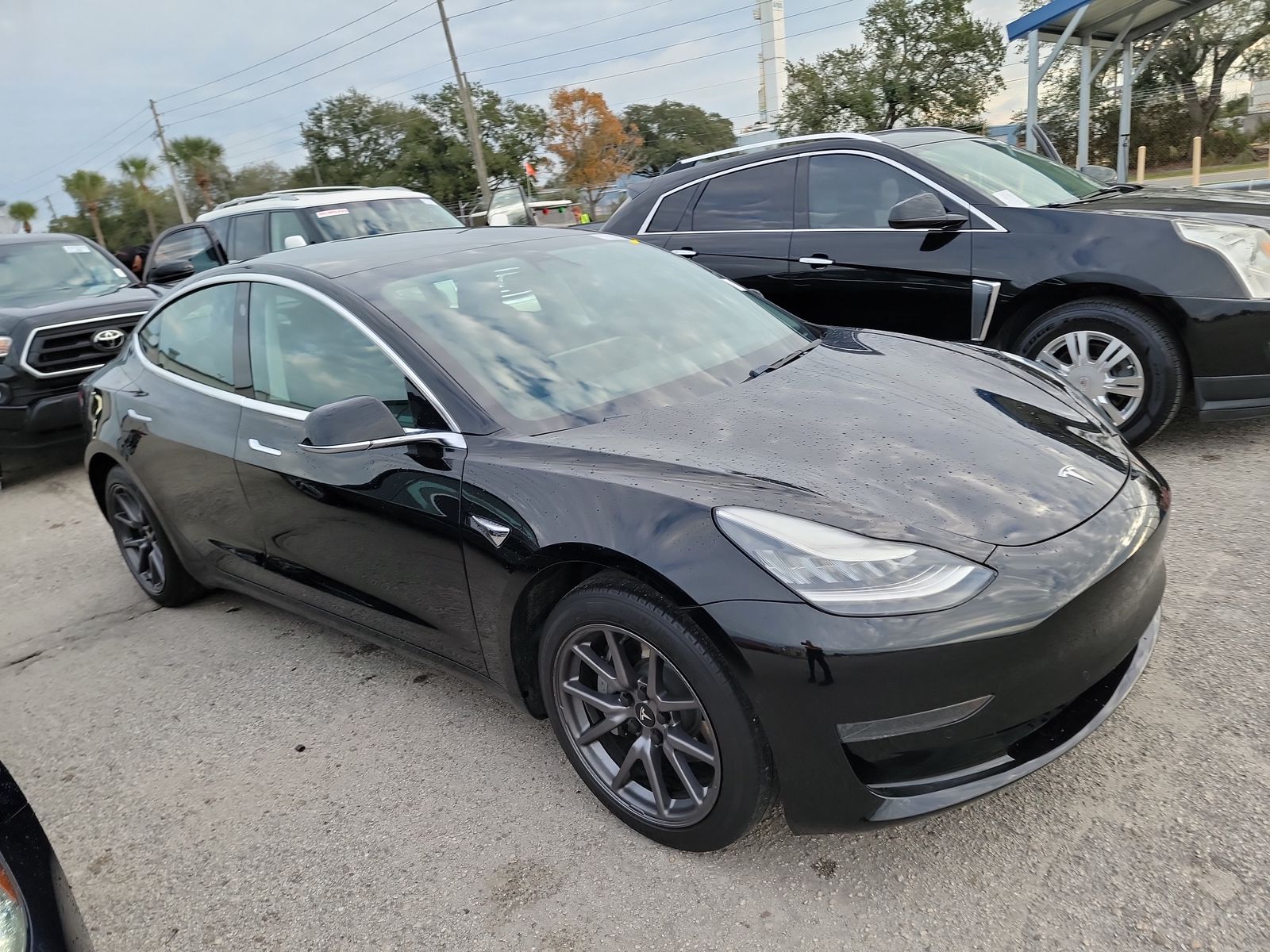 2019 Tesla Model 3 STD PLUS RWD