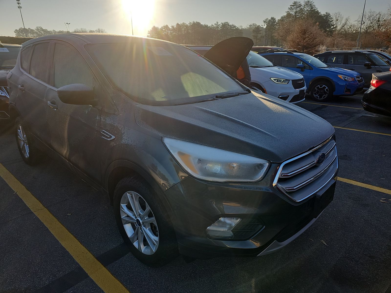 2019 Ford Escape SE AWD