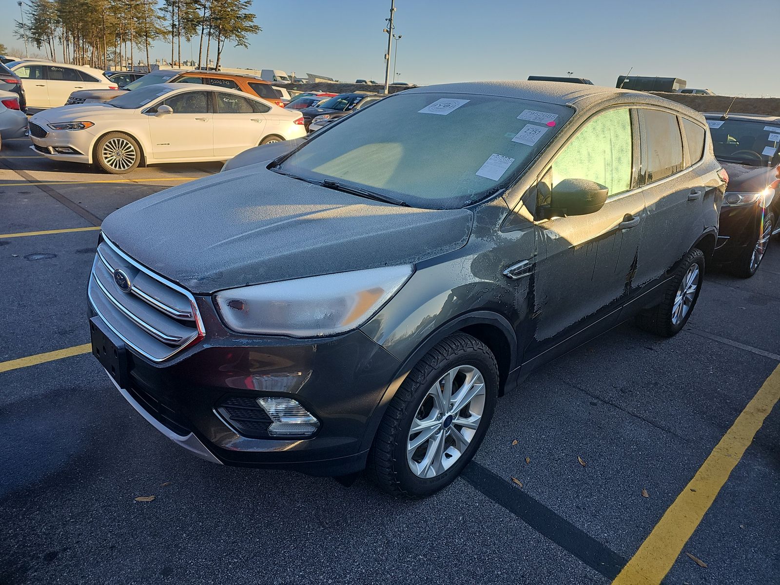 2019 Ford Escape SE AWD