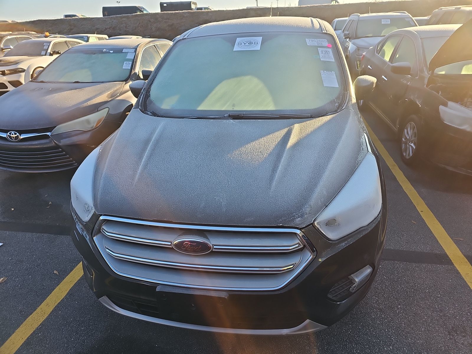 2019 Ford Escape SE AWD