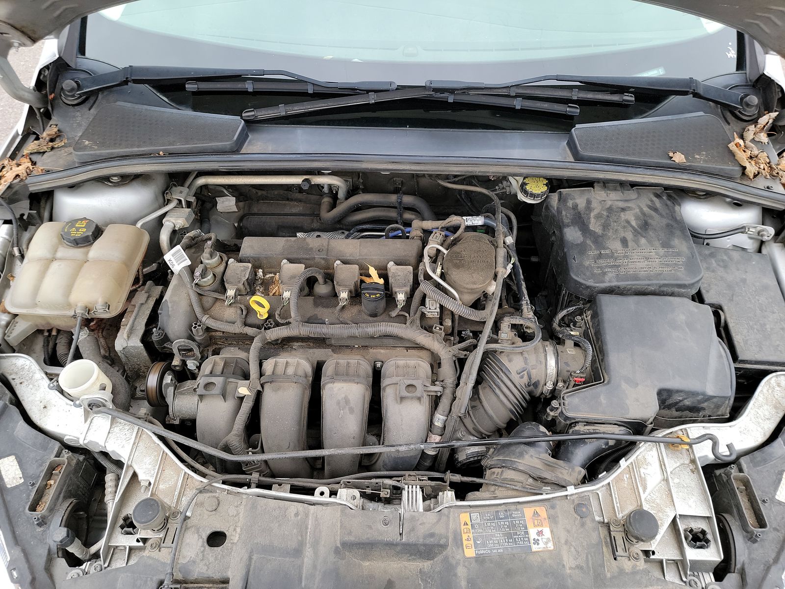 2016 Ford Focus SE FWD