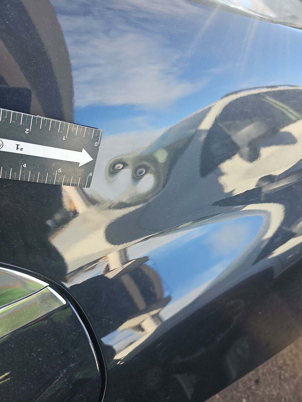 2017 Mercedes-Benz S-Class S550 AWD