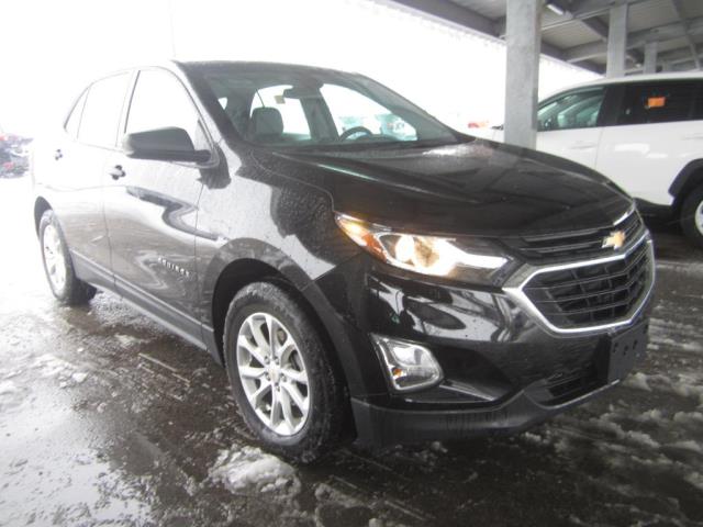 2019 Chevrolet Equinox LS FWD