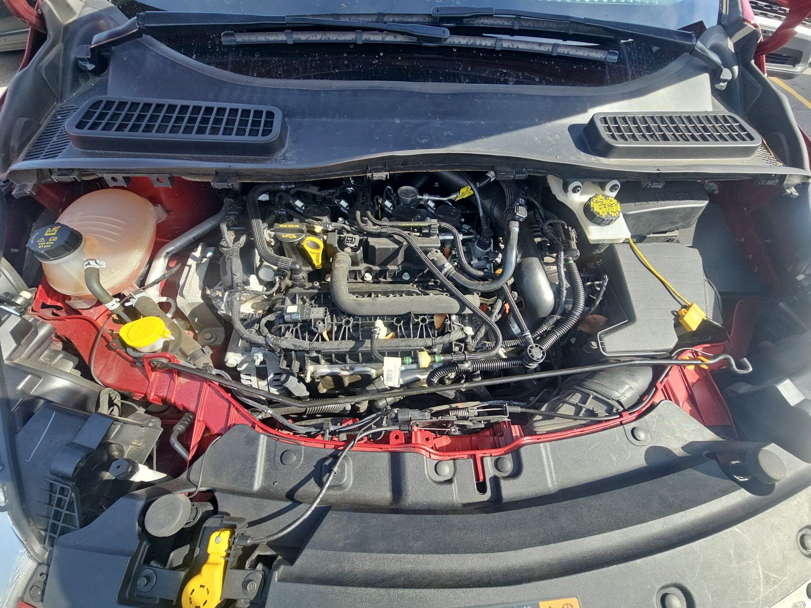 2019 Ford Escape SE FWD