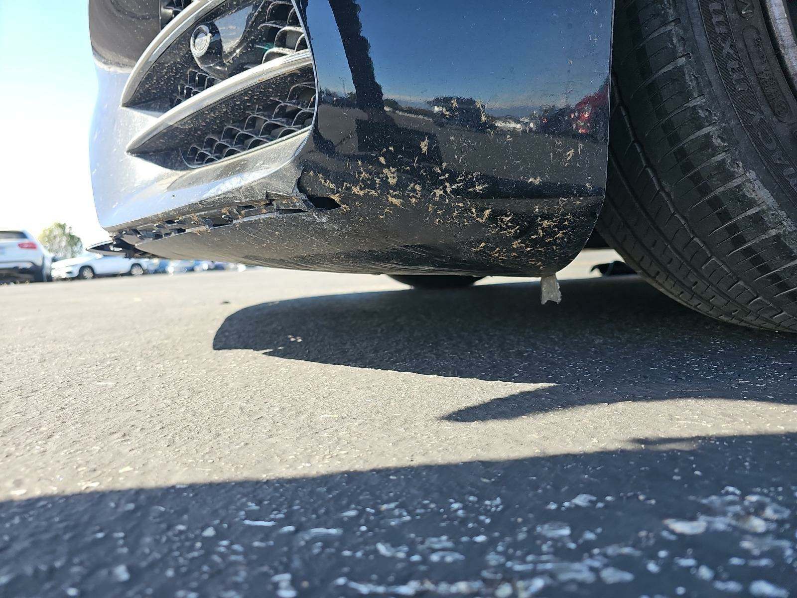 2019 Mercedes-Benz S-Class S 560 RWD