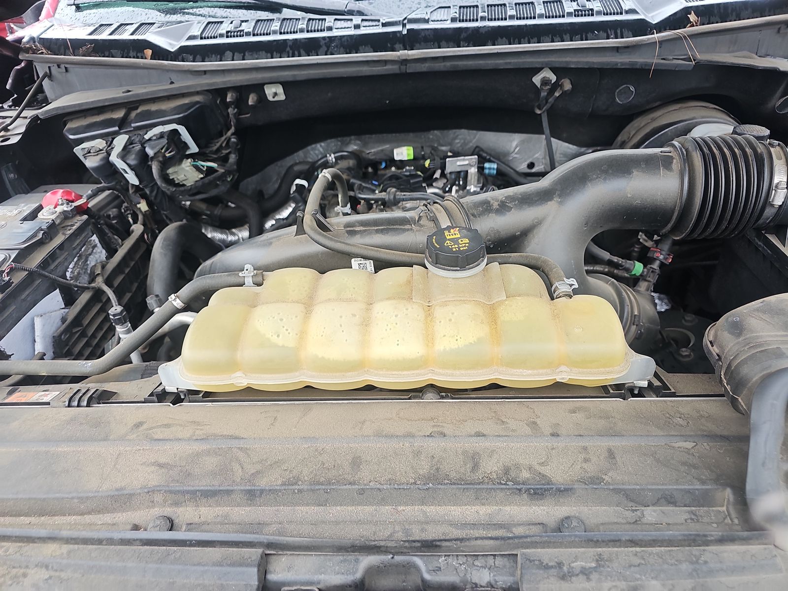 2019 Ford F-150 XLT RWD