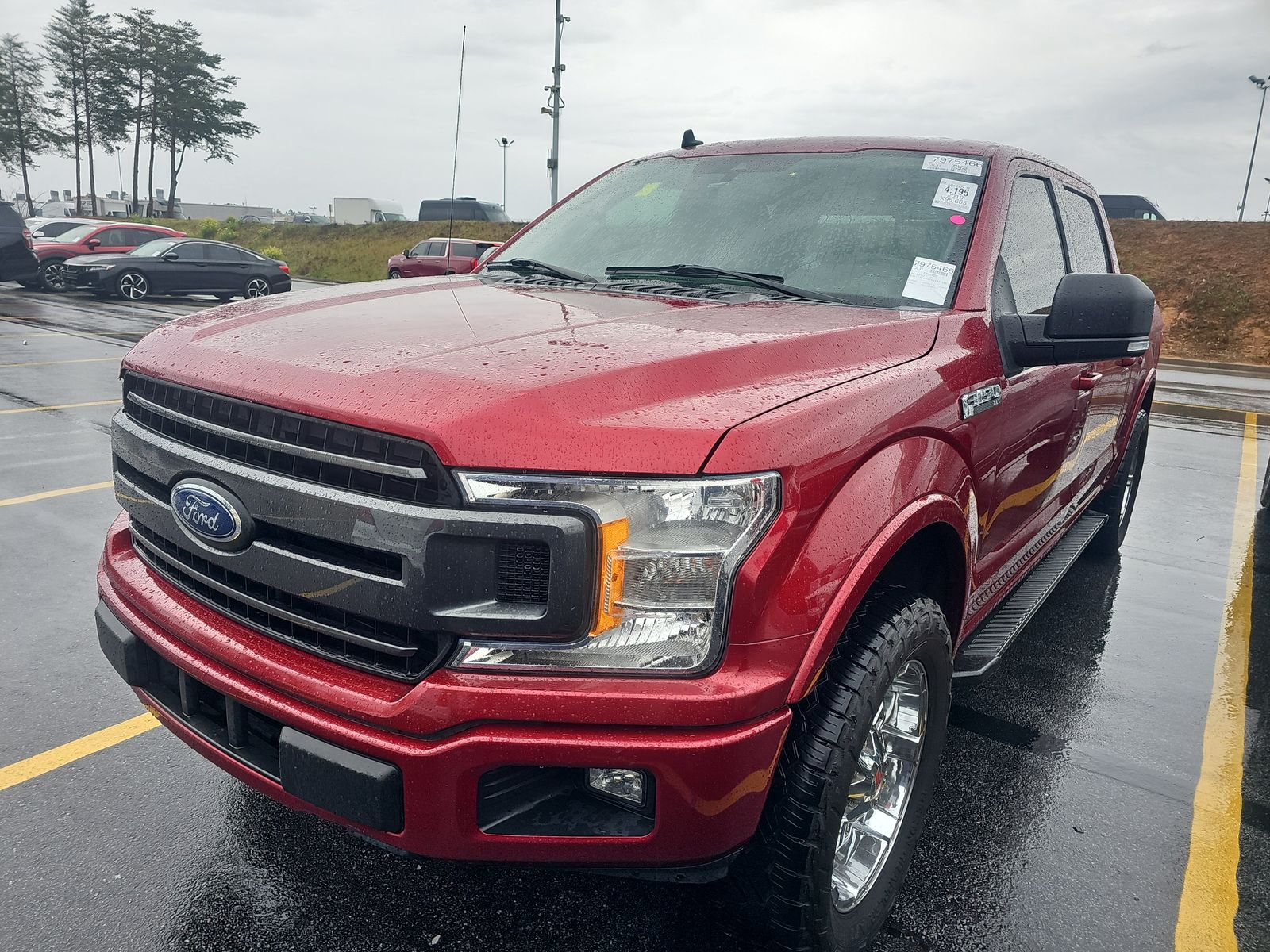 2019 Ford F-150 XLT RWD