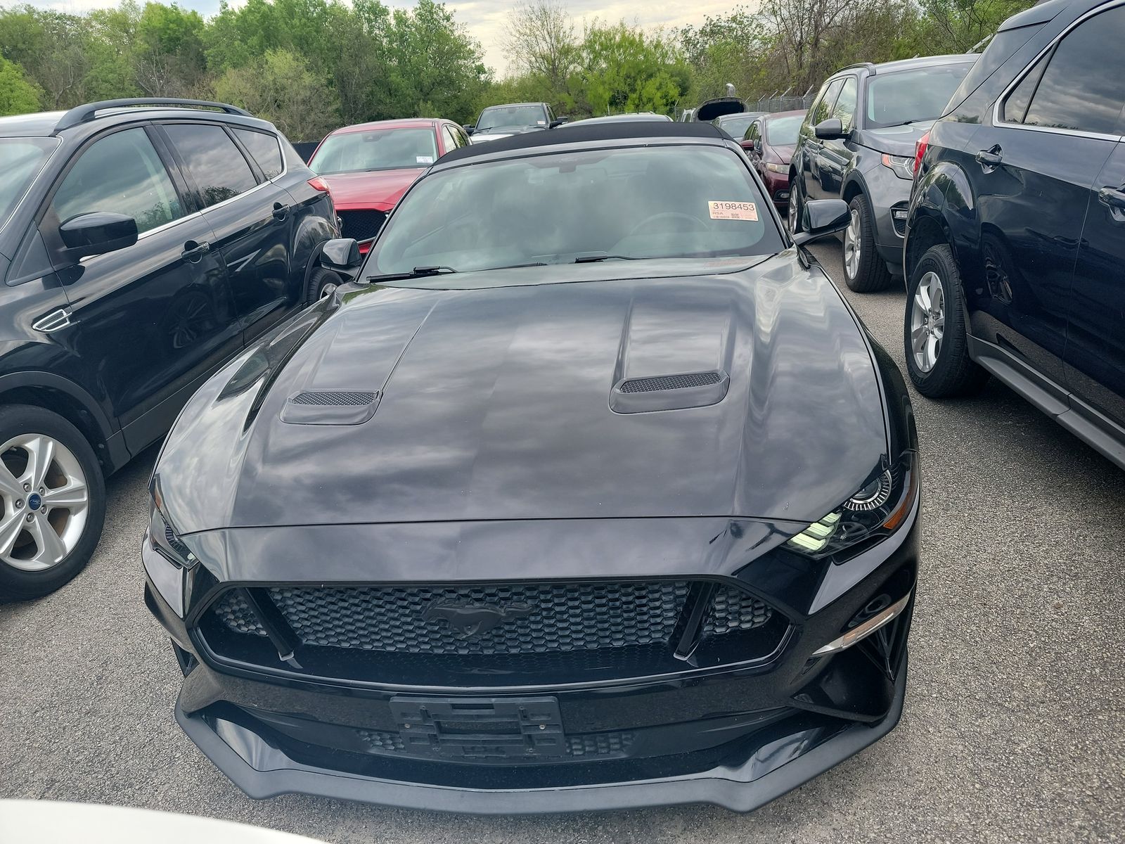 2019 Ford Mustang GT Premium RWD
