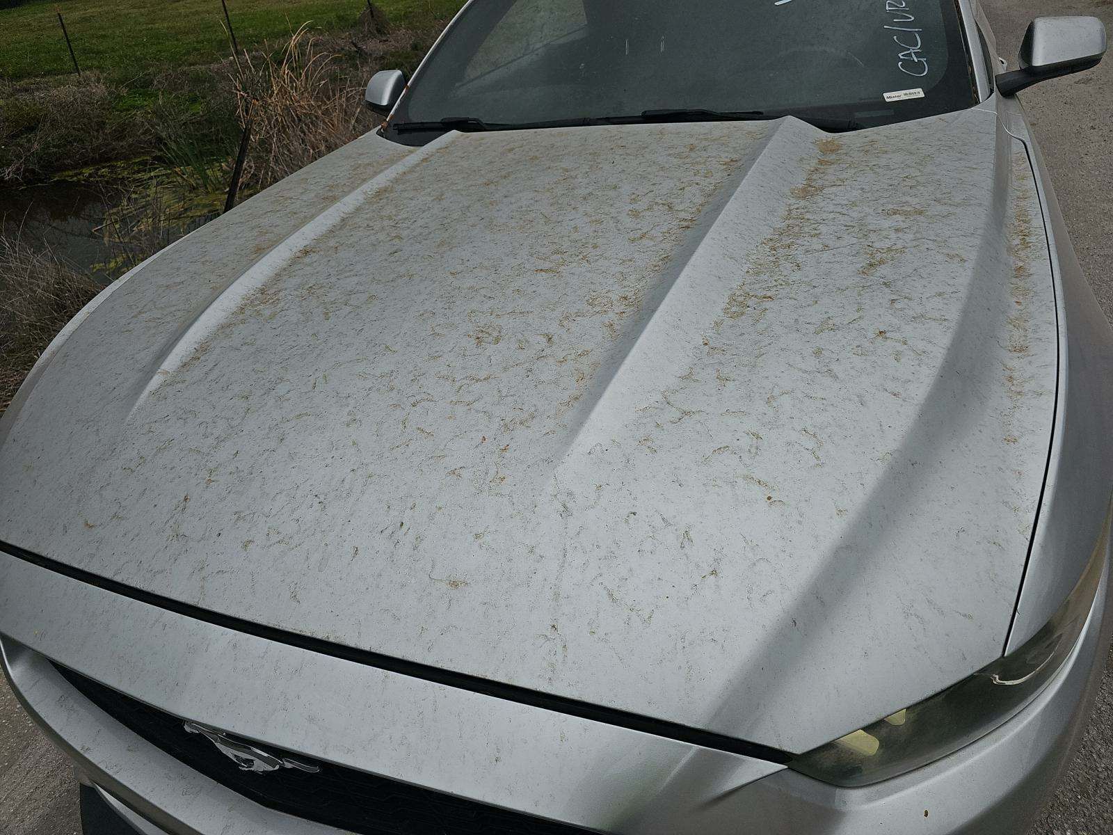 2016 Ford Mustang V6 RWD