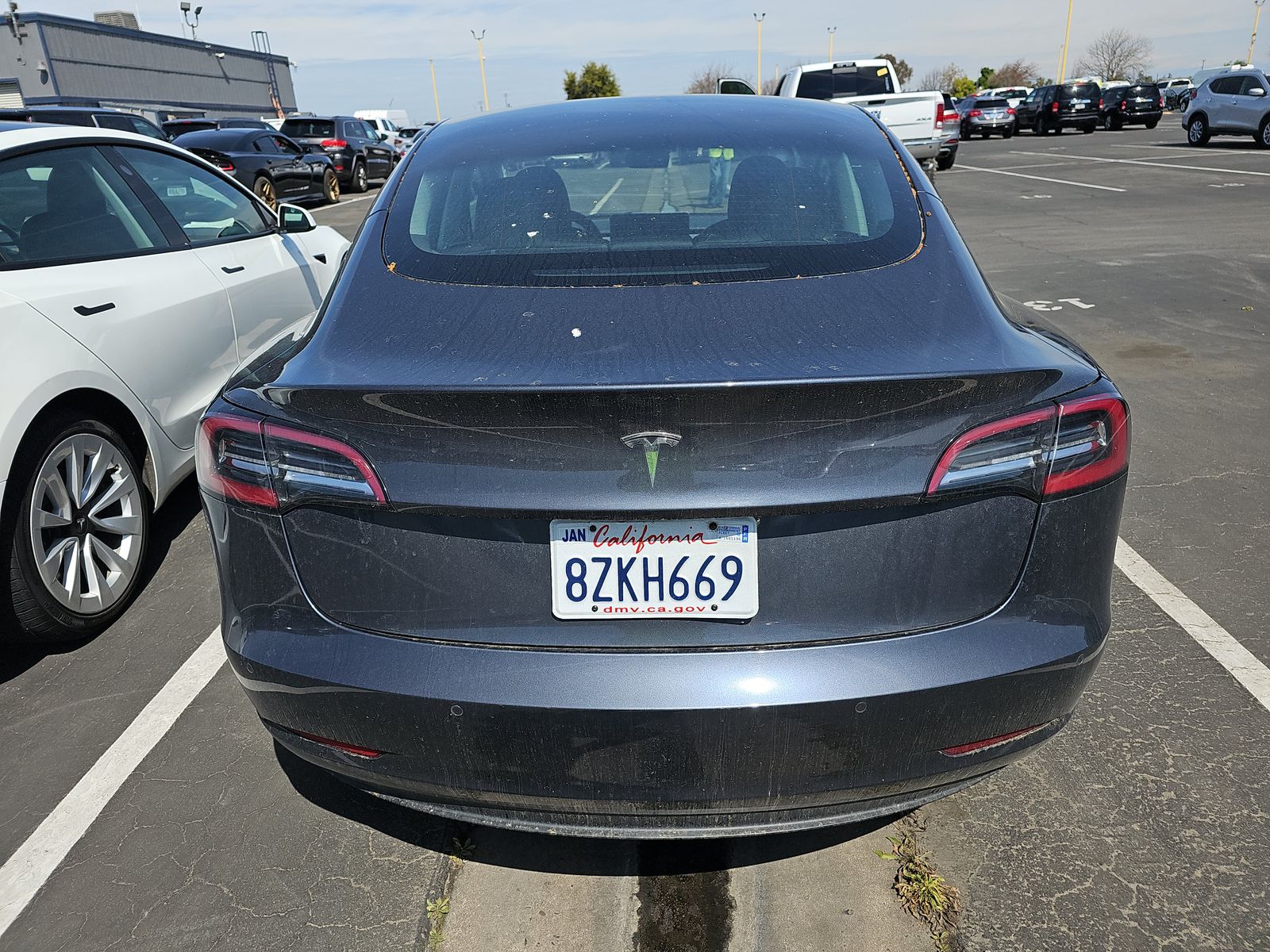 2021 Tesla Model 3 Standard Range Plus RWD