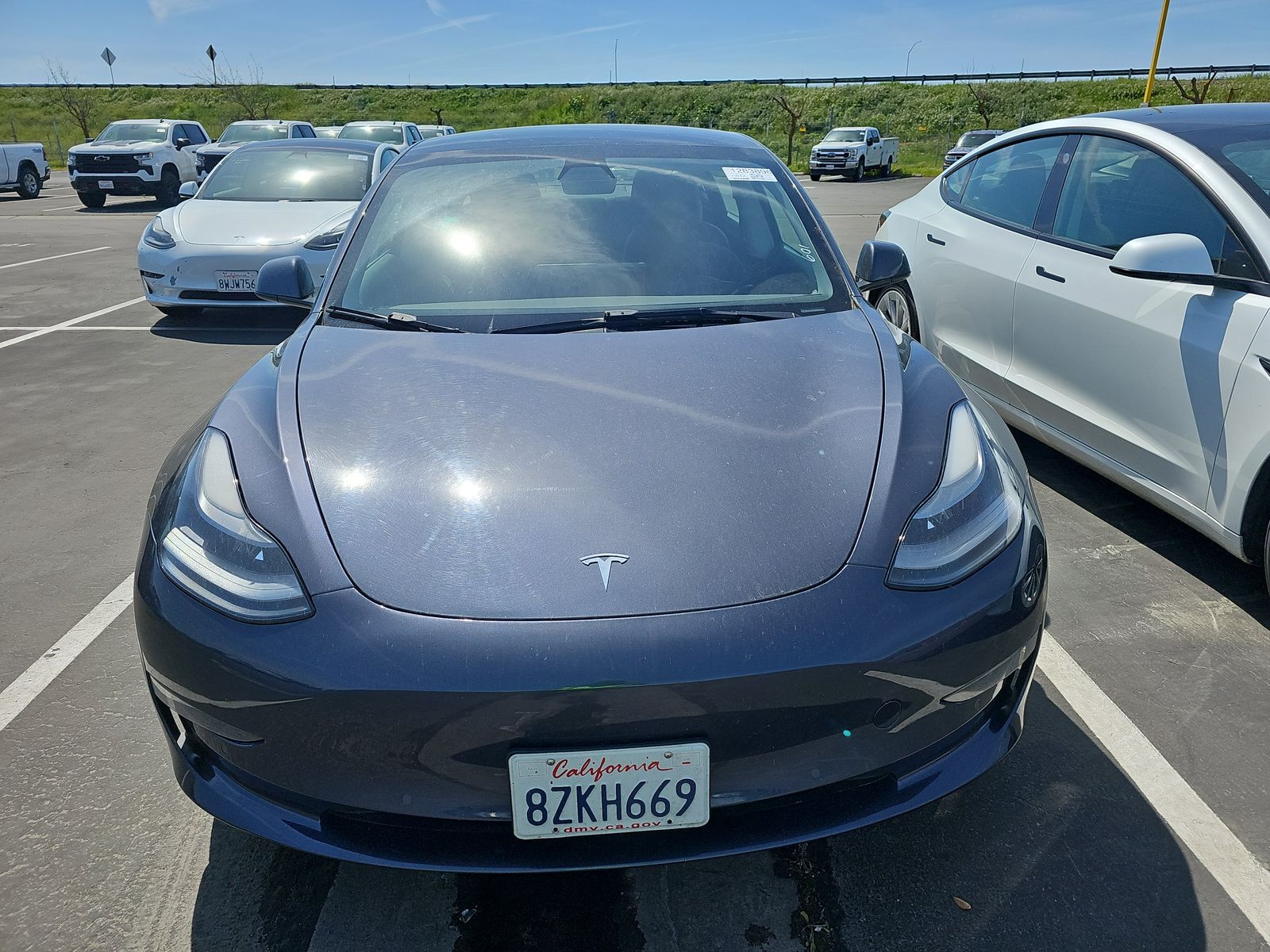 2021 Tesla Model 3 Standard Range Plus RWD