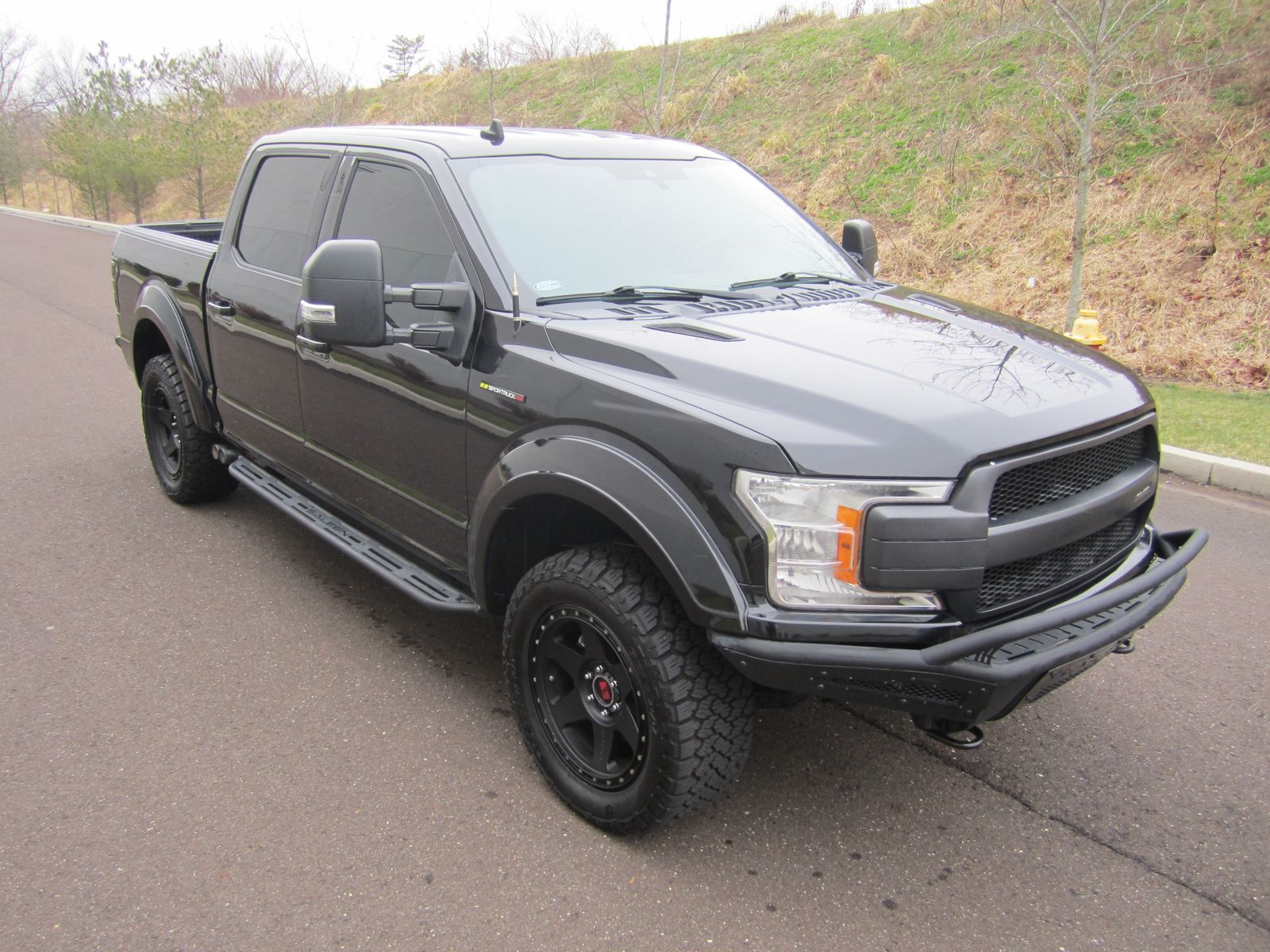 FORD F-150 - 5