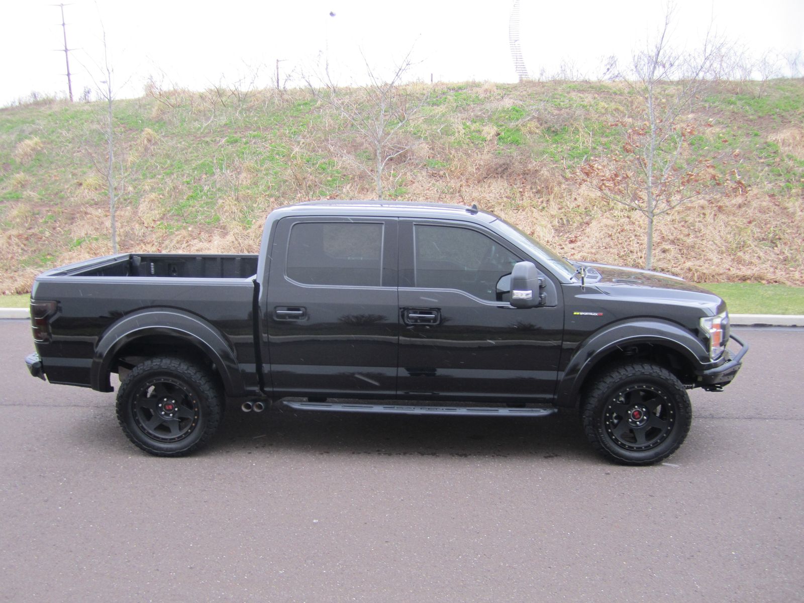 FORD F-150 - 10