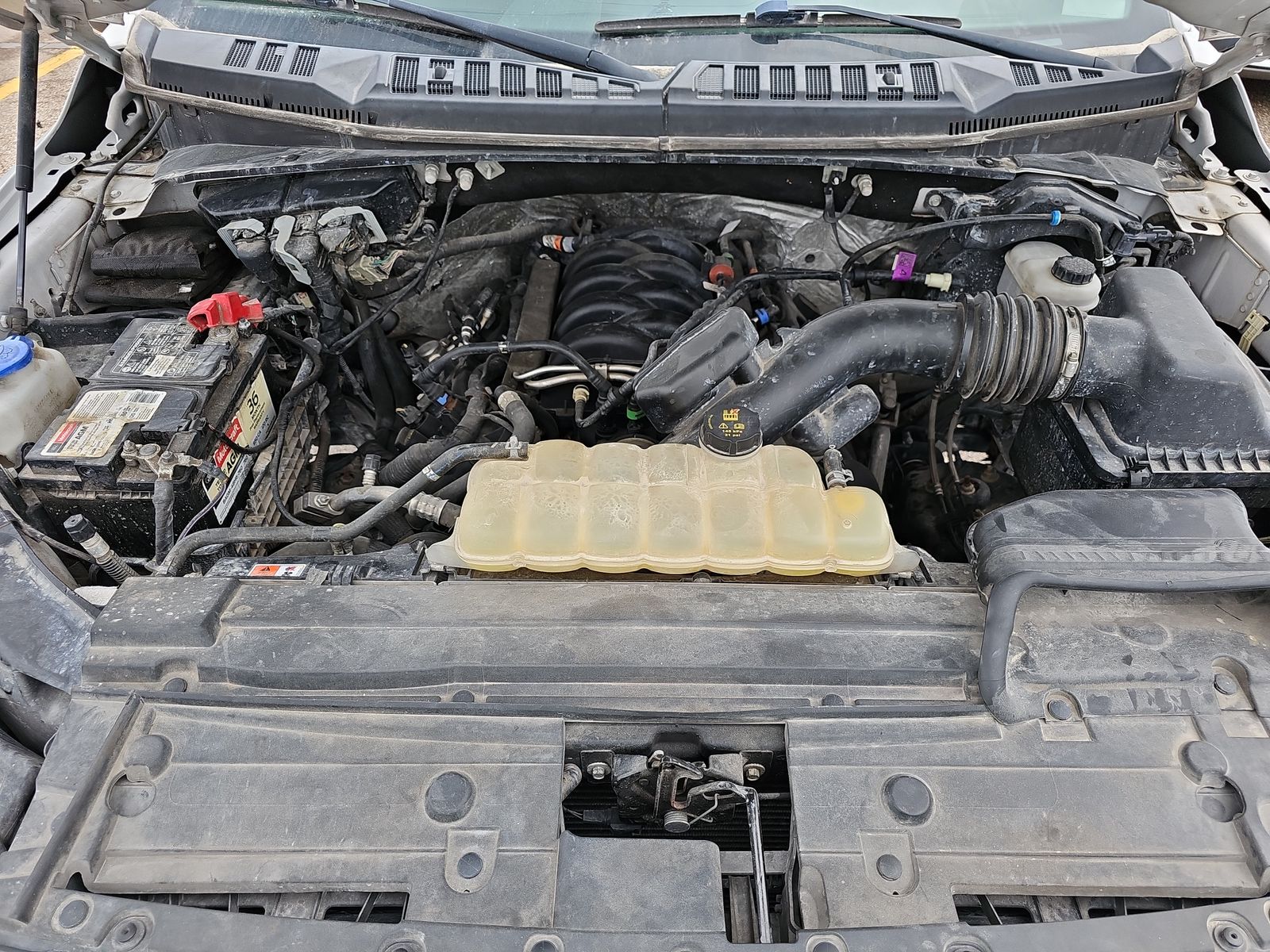 2019 Ford F-150 XLT AWD