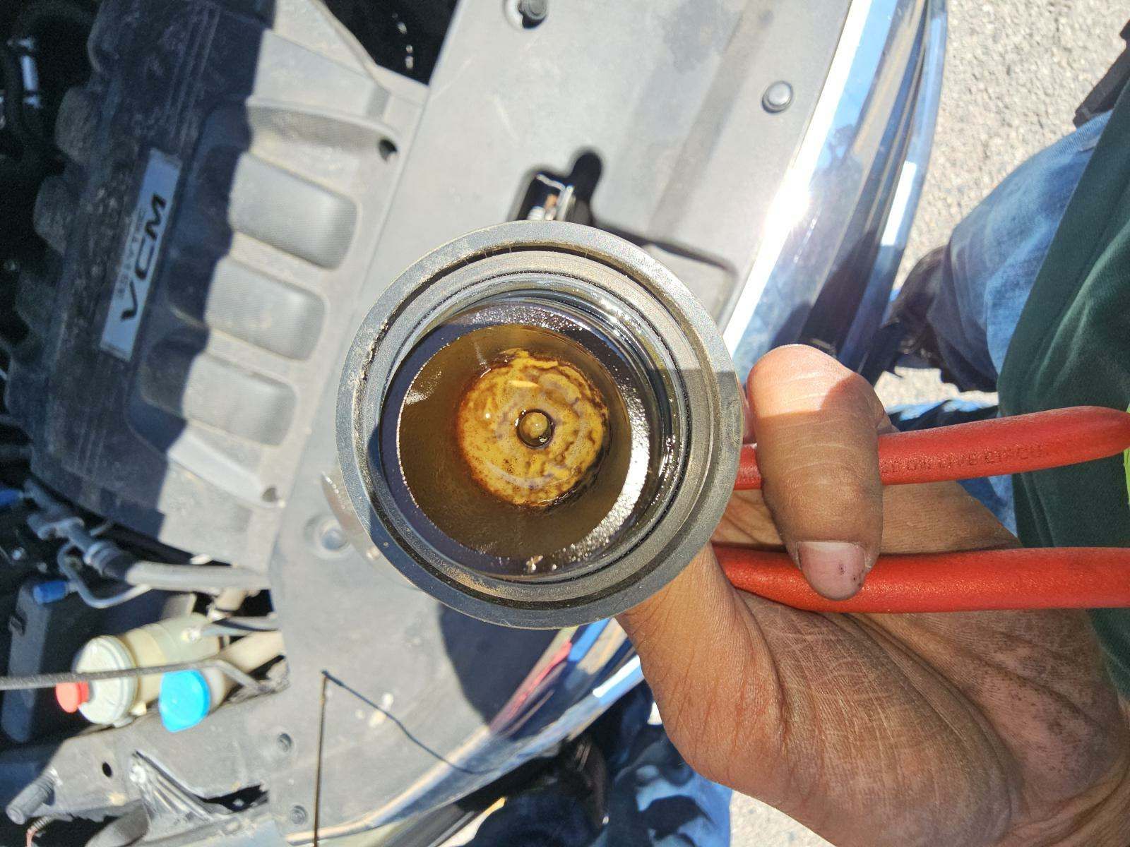 2010 Honda Odyssey EX-L FWD