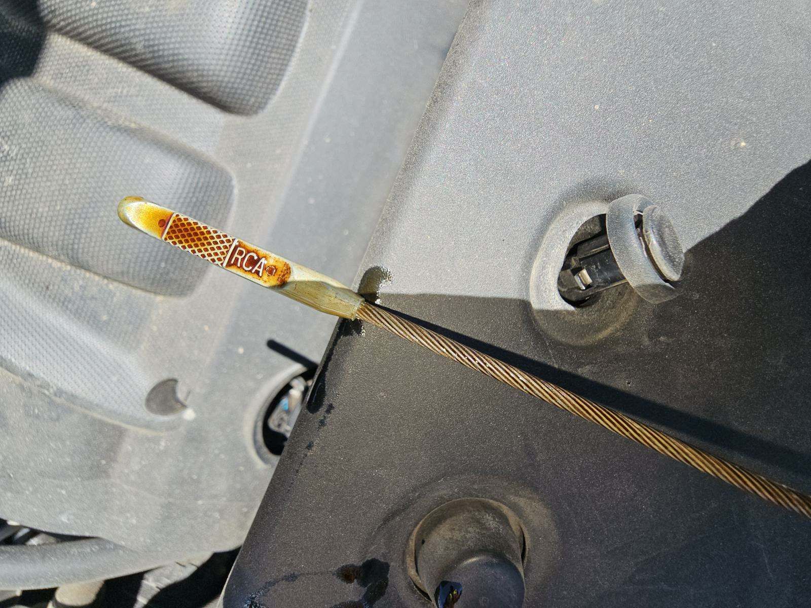 2010 Honda Odyssey EX-L FWD