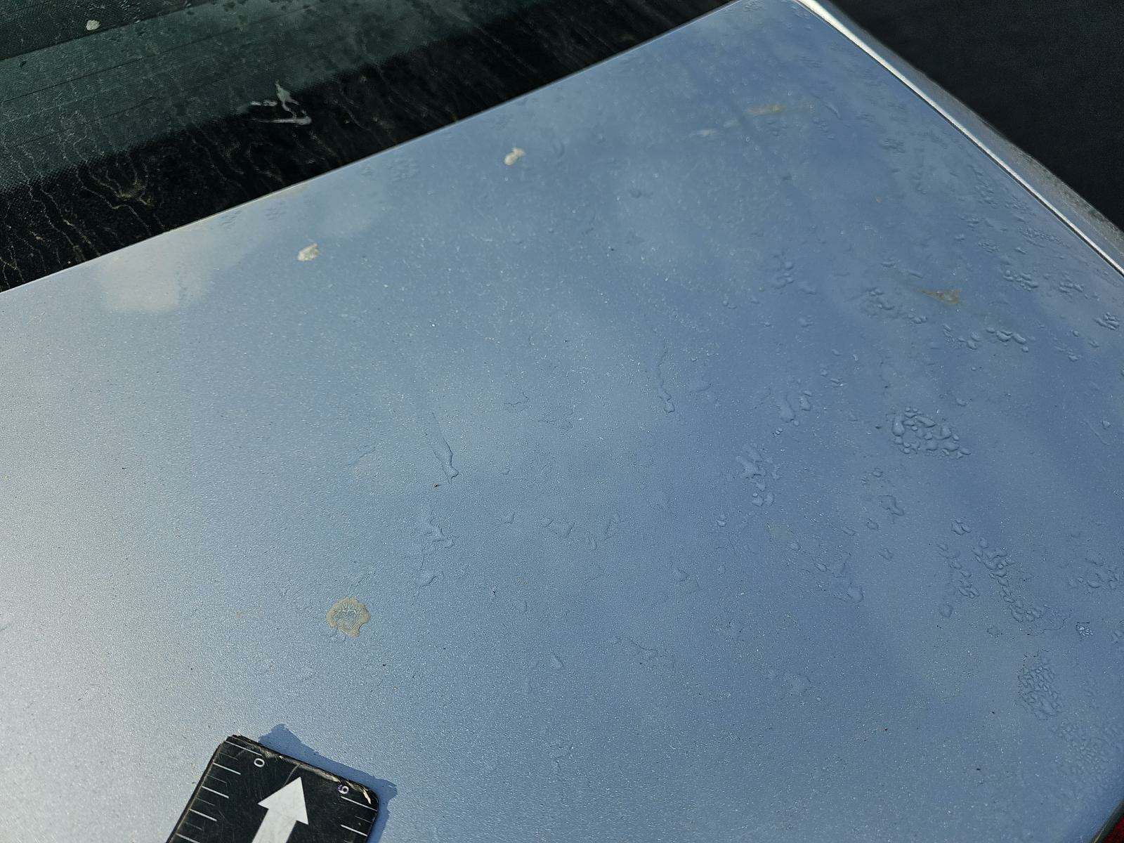 2015 Audi S4 Premium Plus AWD