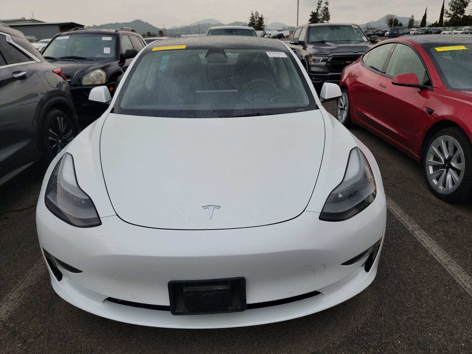 2022 Tesla Model 3 Standard Range RWD