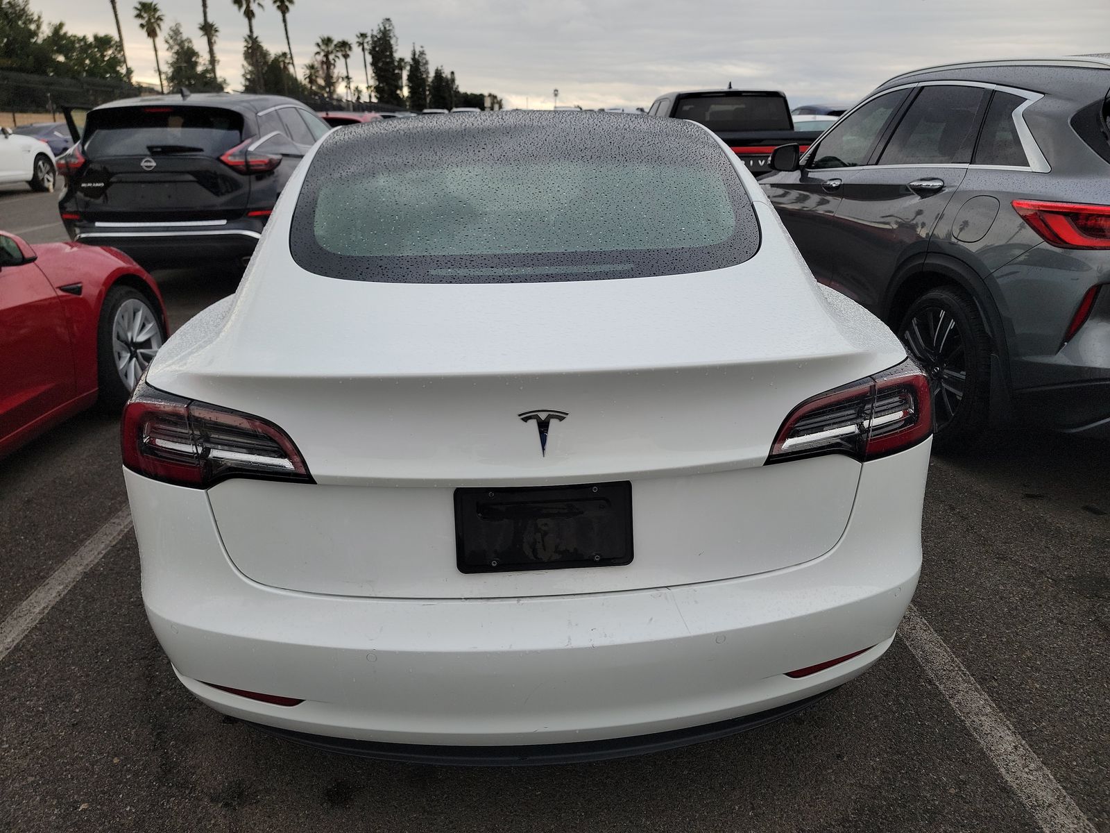 2022 Tesla Model 3 Standard Range RWD