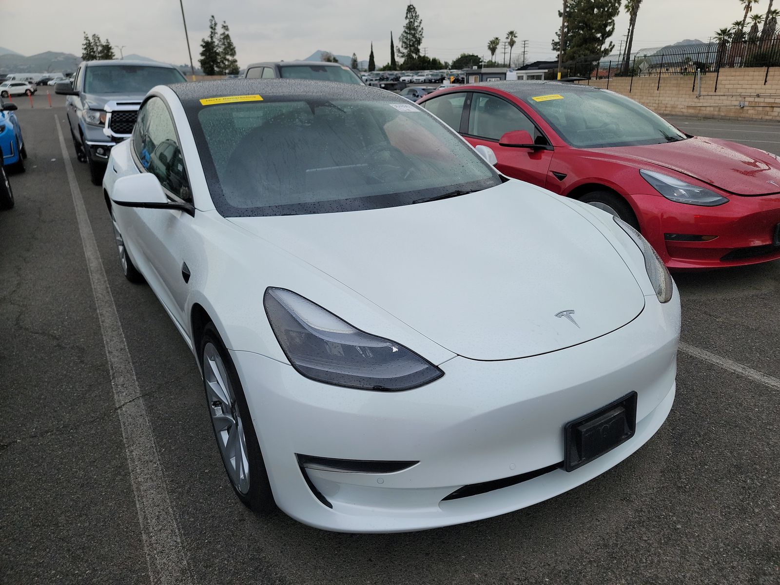 2022 Tesla Model 3 Standard Range RWD