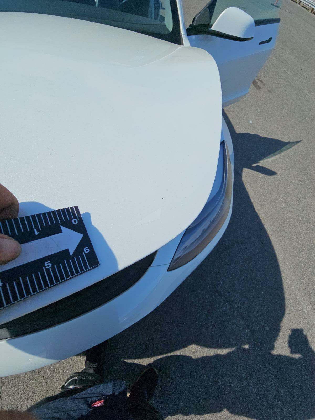 2022 Tesla Model 3 Standard Range RWD