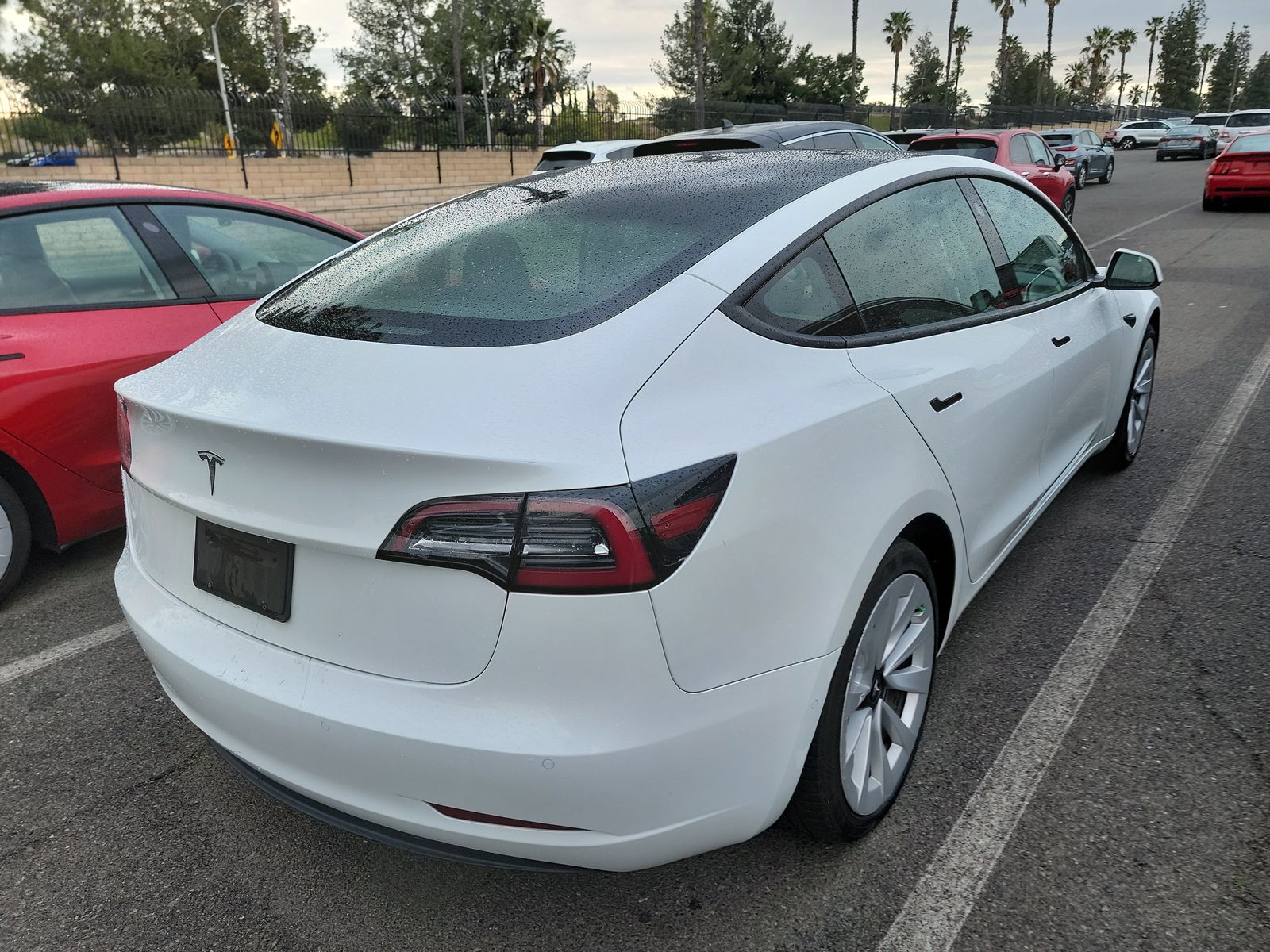 2022 Tesla Model 3 Standard Range RWD