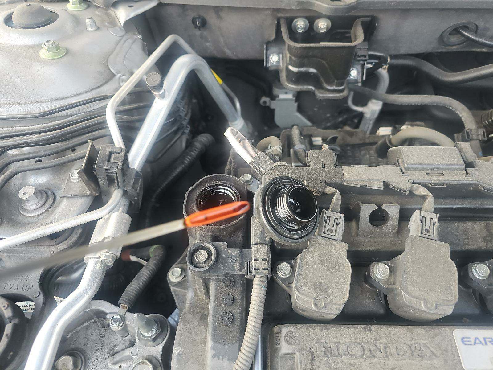 2019 Honda Accord LX FWD