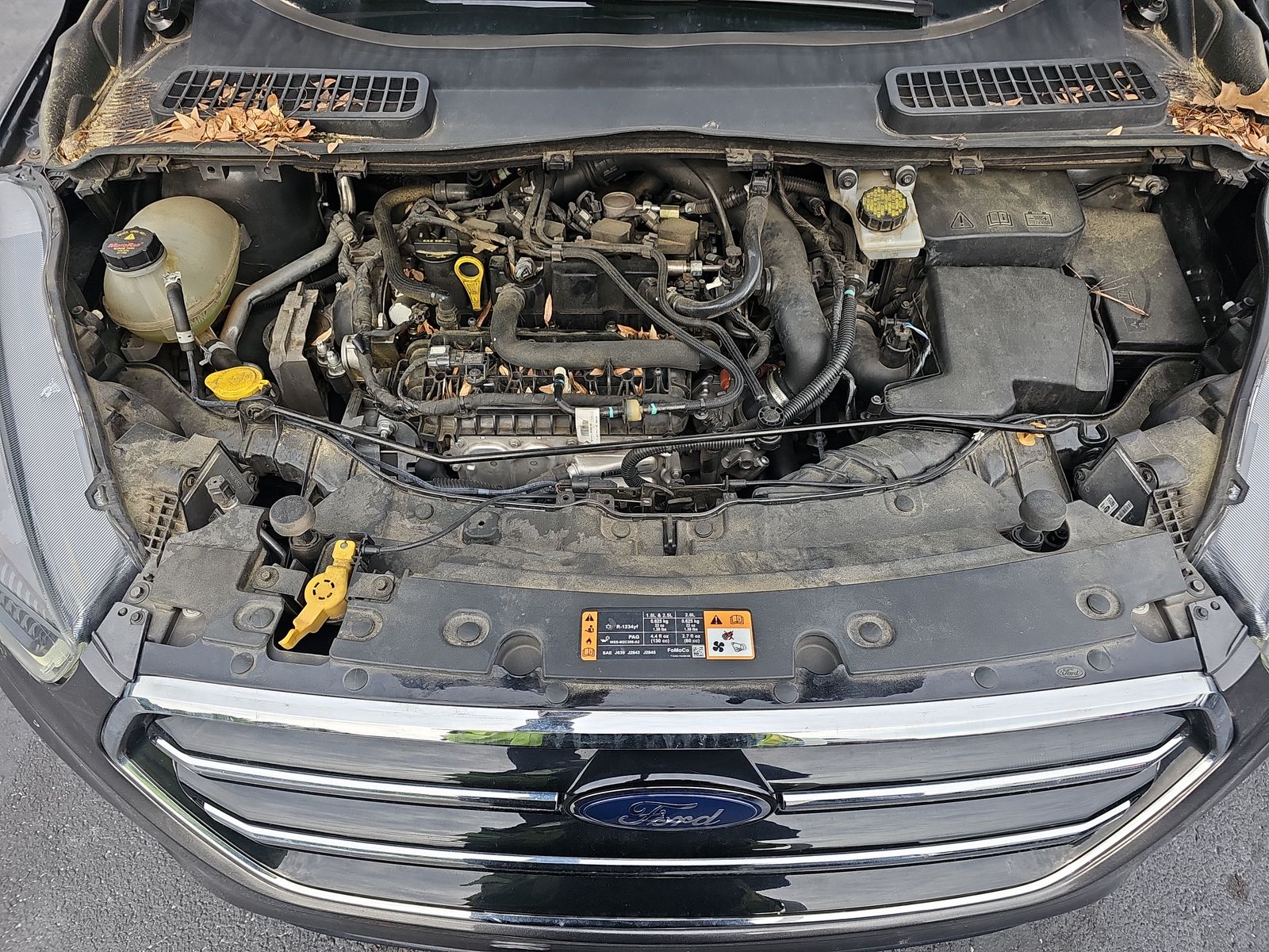 2019 Ford Escape SE FWD