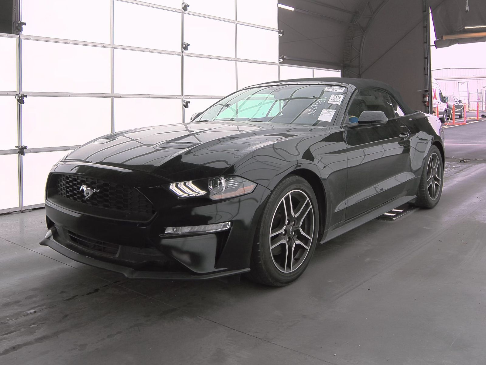 2019 Ford Mustang EcoBoost Premium RWD