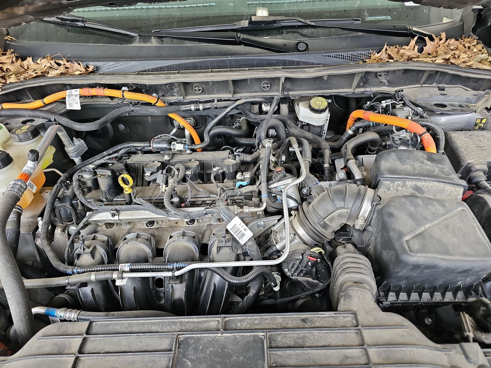 2021 Ford Escape Hybrid SEL AWD