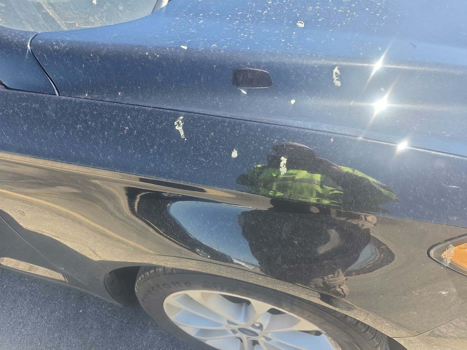 2020 Ford Fusion Hybrid SE FWD