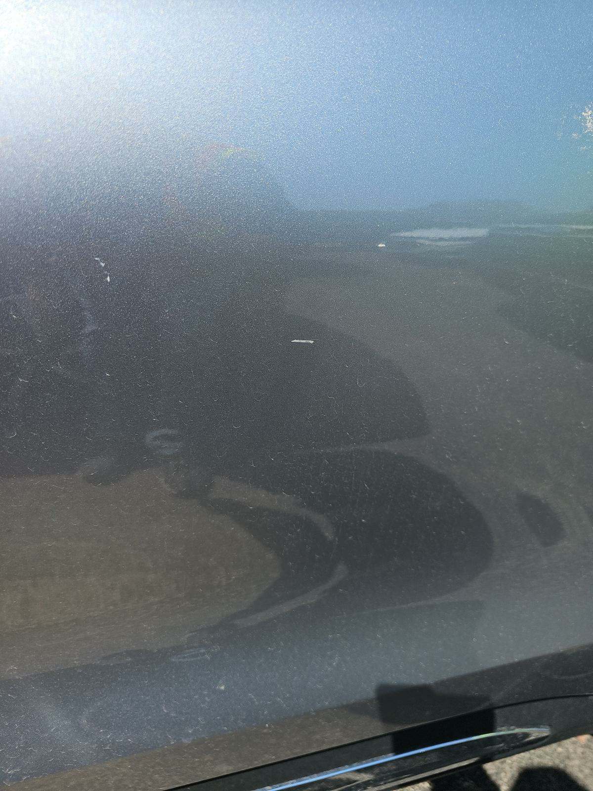 2021 Ford Explorer XLT AWD