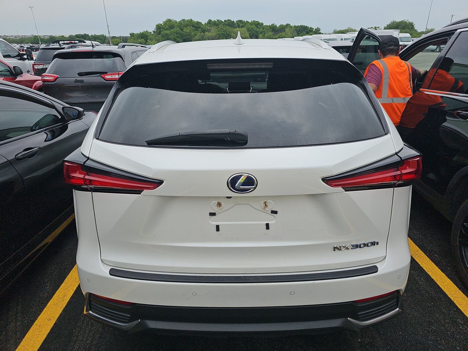 2021 Lexus NX NX 300h AWD