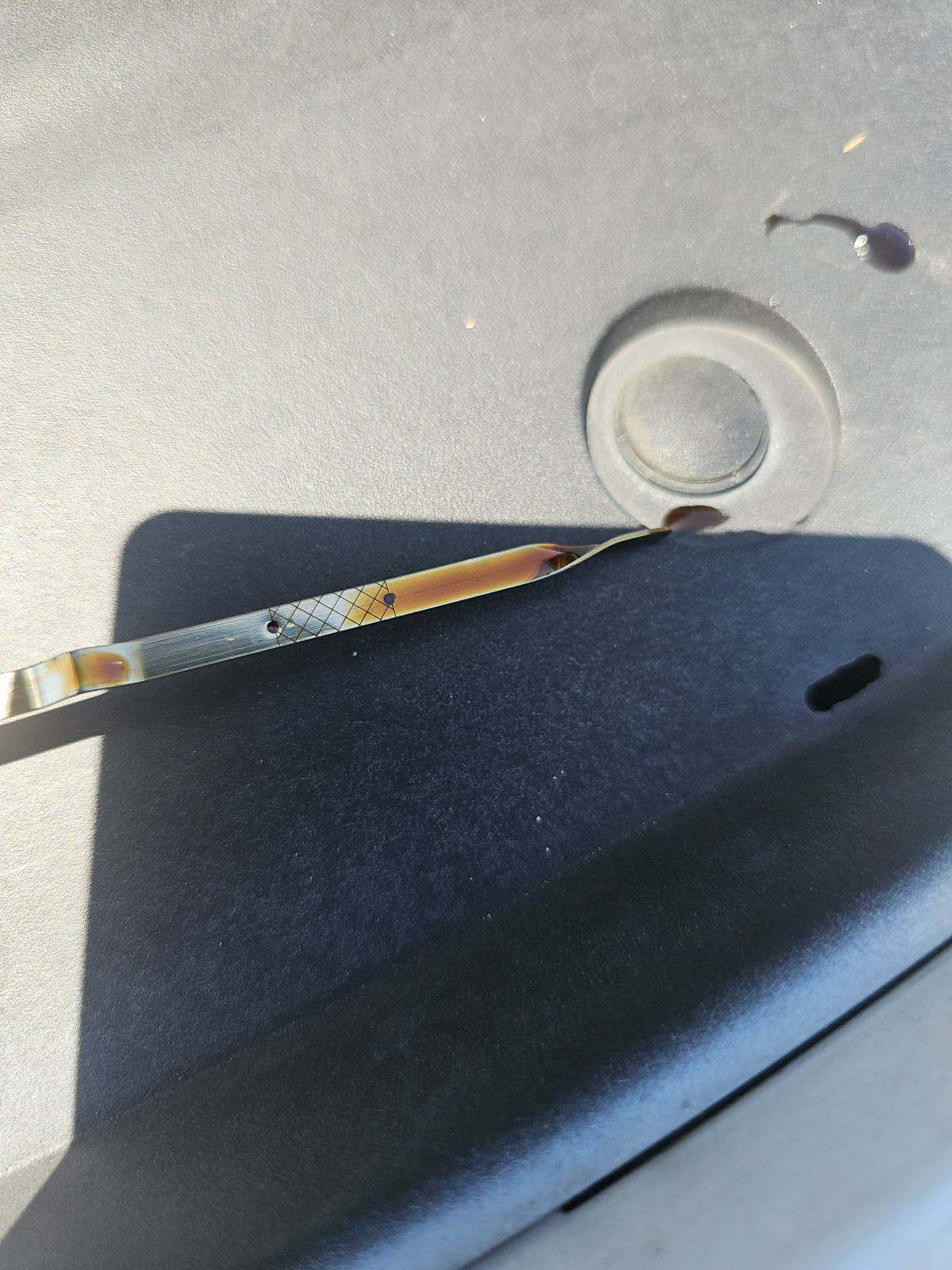 2019 Dodge Charger SXT RWD